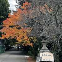 【京都府】5社を祀る不思議な神社へ