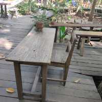 กาแฟในป่า ร้อยเอ็ด
