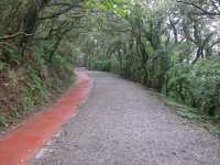 Yang Ming Shan