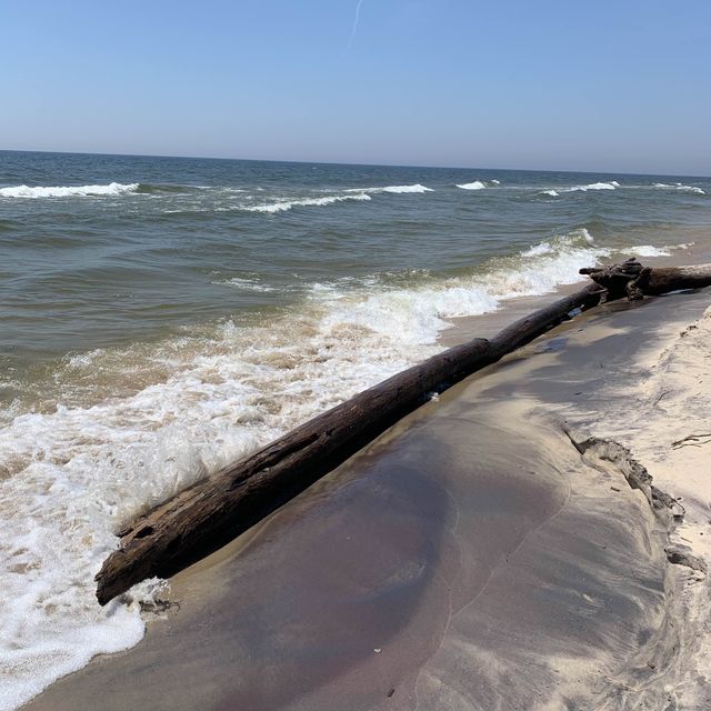 A most remarkable beach on Lake Michigan