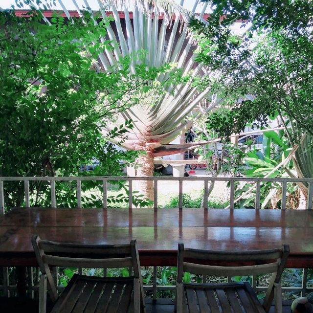 Homm Coffee, a homey coffee shop 🍵🌲