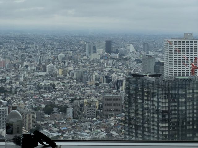 Tokyo Metropolitan Govrn Building - Free View
