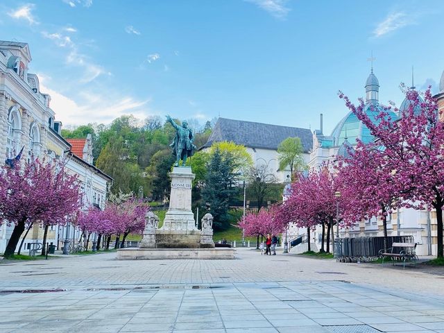 🌸 SPRING HAS SPRUNG IN MISKOLC 🌸