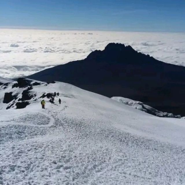 Climb Mount Kilimanjaro Via Rongai Route