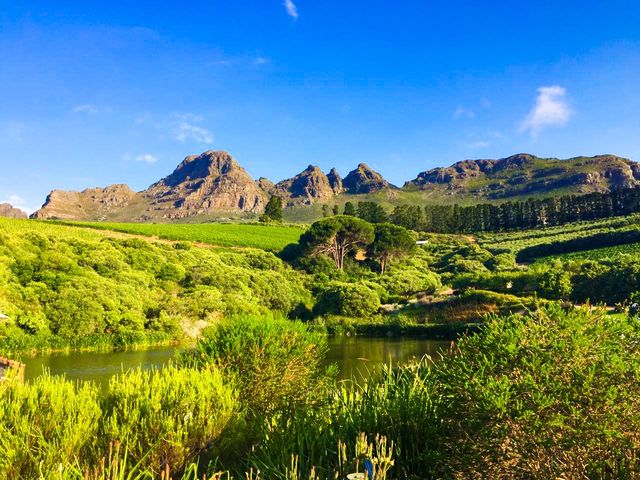 Wine tasting in Stellenbosch 🍷