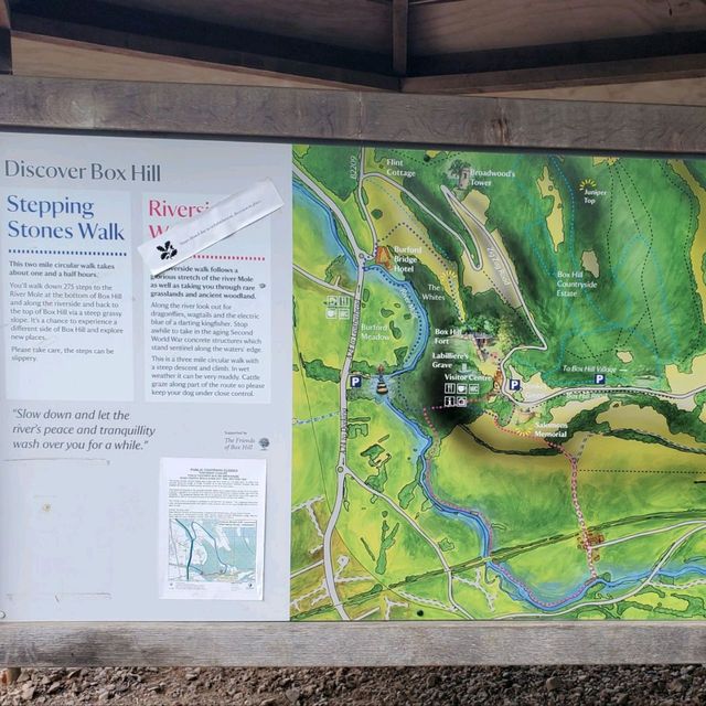 Box Hill, Surrey Hills @ England hikers 