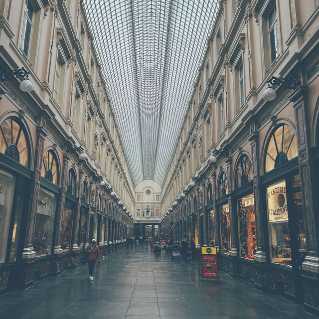 AMAZING BRUSSELS  🇧🇪 