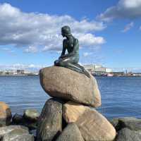 The Little Mermaid in Copenhagen 🇩🇰