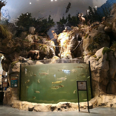 Bass Pro Shops are Mind Blowing!