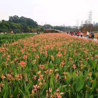 Guanlan Wetland Flower Park