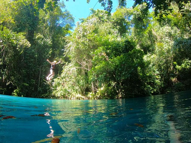 Cebu- Snorkelling Paradise