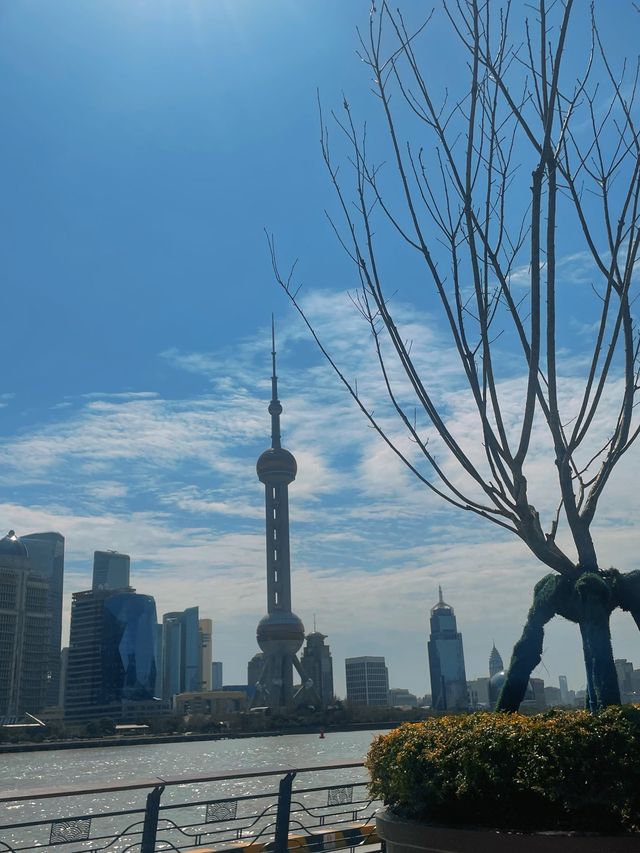 Coconuts by The Bund🥥🌴