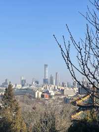 Beijing from above (Jingshan Park)