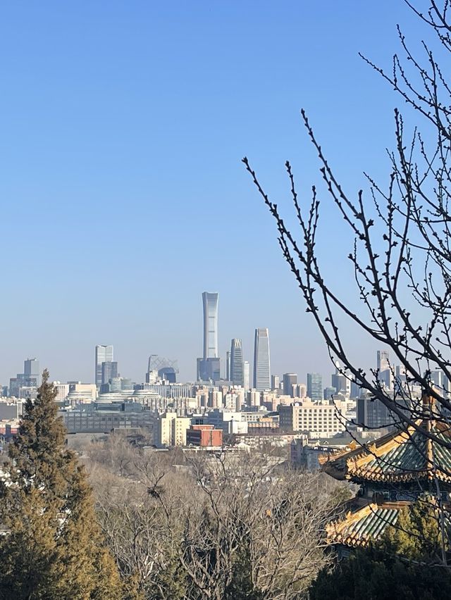 Beijing from above (Jingshan Park)