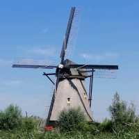 Don't leave Holland without seeing windmills