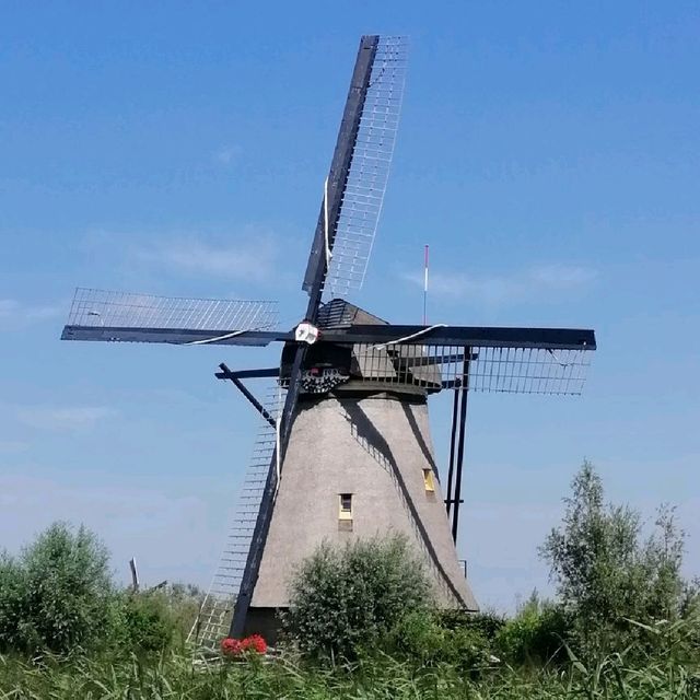 Don't leave Holland without seeing windmills