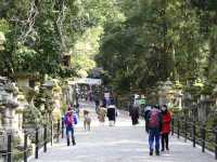 世界文化遺產日本春日大社