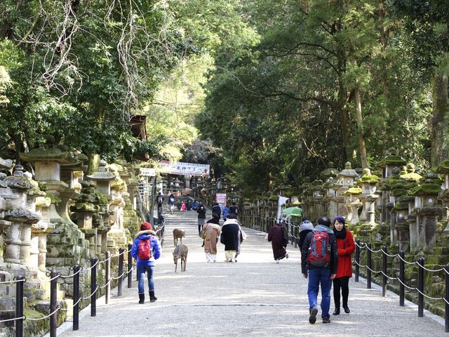世界文化遺產日本春日大社