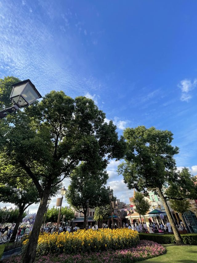 Sunny Sky Days at Shanghai Disneyland🏰🎡