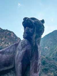Winter Blue at Tiger Leaping Gorge 