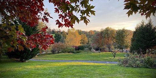 Harvest Rhythms: Ecstatic Dance, Art, and Foraging Retreat (Conestoga) | 561 Stone Hill Road, Conestoga, PA, USA