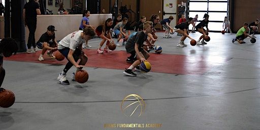 AFA 3rd Annual Elite Ballhandling Clinic | Moscow High School