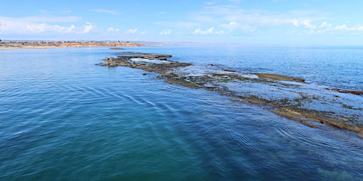 Scuba Dive - Port Noarlunga Jetty Dive (qualified scuba divers only) | Port Noarlunga Jetty