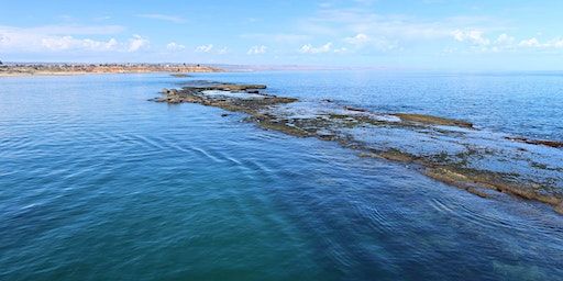 Scuba Dive - Port Noarlunga Jetty Dive (qualified scuba divers only) | Port Noarlunga Jetty