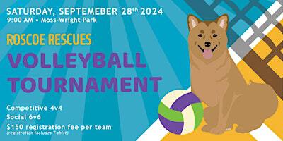 Roscoe Rescues 5th Annual Volleyball Tournament | Moss-Wright Park