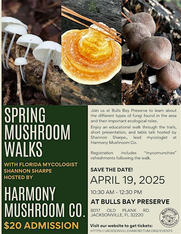 Spring Mushroom Walk | Bulls Bay Preserve
