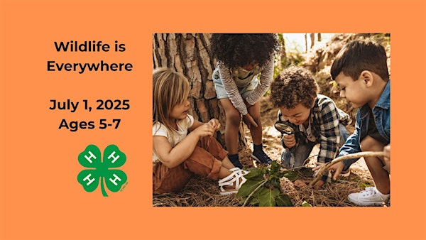 Cloverbud: Wildlife is Everywhere | N.C. Cooperative Extension, Currituck County Center