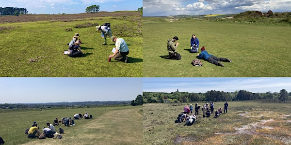 Habitat Indicator Species - 2 day course | Old Sarum Castle