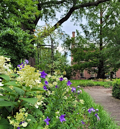 The Mayor’s Garden: History of the Ten Broeck Mansion Gardens & Workers | Albany County Historical Association-Ten Broeck Mansion
