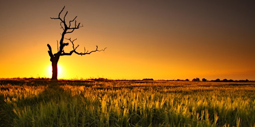 The Ecology of Climate Change with Brian Eversham | Old Sulehay Nature Reserve