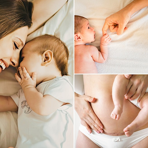 Nurtured: A Fourth Trimester Series | Concept House