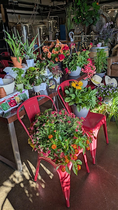 Plant Match "Bingo" (Bowmanville) | Boston Pizza