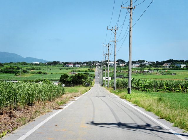 【沖縄/小浜島】一本道！シュガーロード