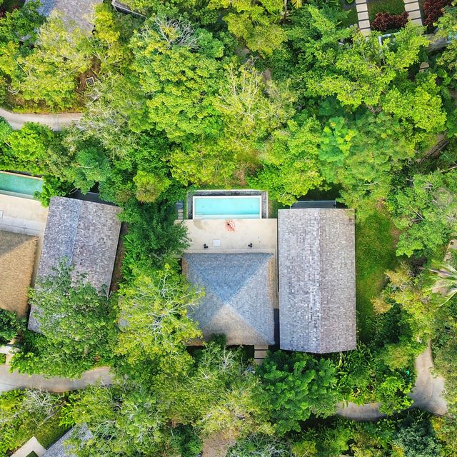 🌴หนีความวุ่นวายแล้วไปติดเกาะ🌴