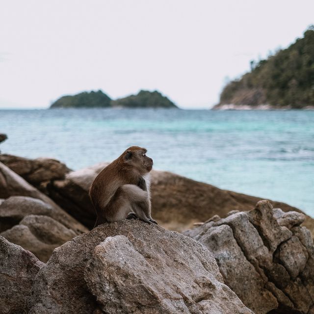เกาะหลีเป๊ะ