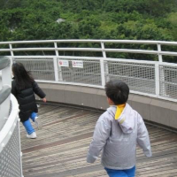 大埔海濱公園😬休閑野餐地方