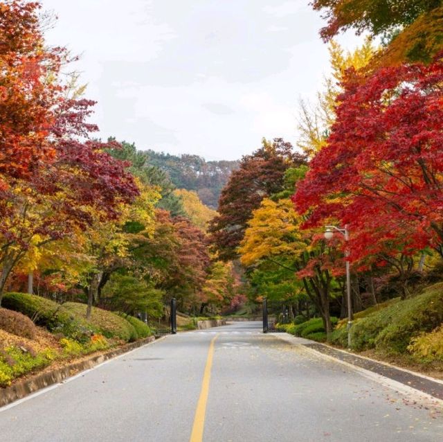 대통령 별장에 누구나 갈 수 있다고?
