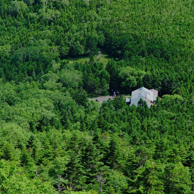 真夏の蓼科山荘