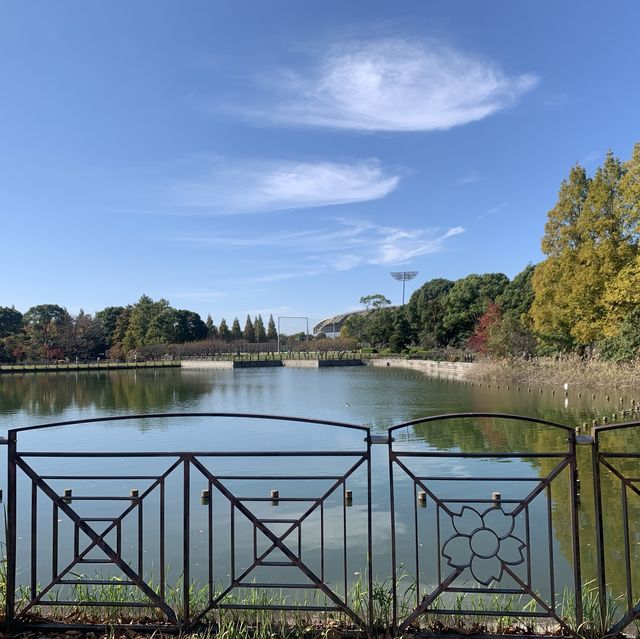柏の葉公園　秋の紅葉が綺麗