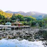 大嶼山龍仔悟園