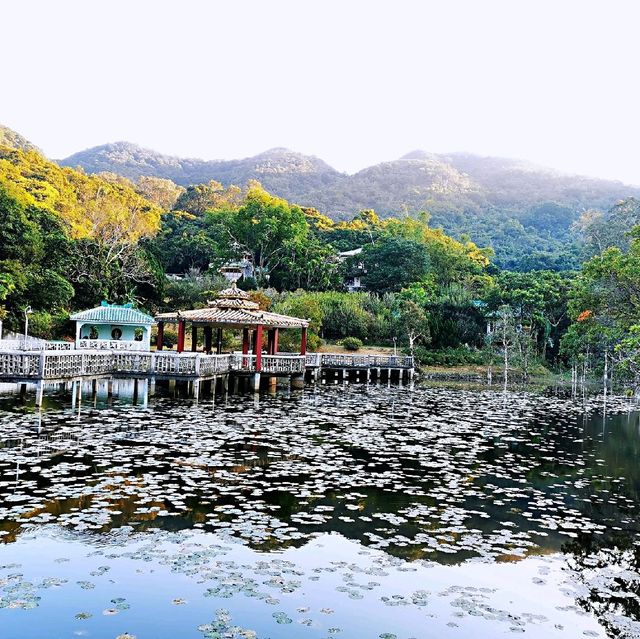 大嶼山龍仔悟園