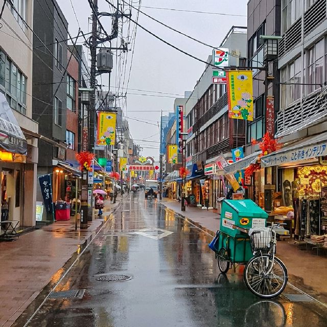 도쿄 스가모 지조도리 상점가