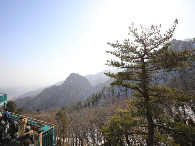 속초 설악산케이블카 타고 권금성까지