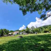 คาเฟ่วิวสุดปัง สไตล์Camp