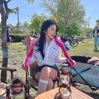 한강공원 캠크닉(캠핑+피크닉) 도심속의 힐링지 🍀