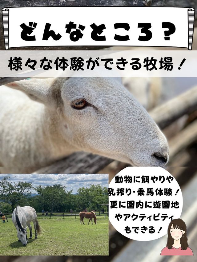 動物だけじゃない！[満開のお花畑&超お得なチケット付き！]マザー牧場行く前にチェック！